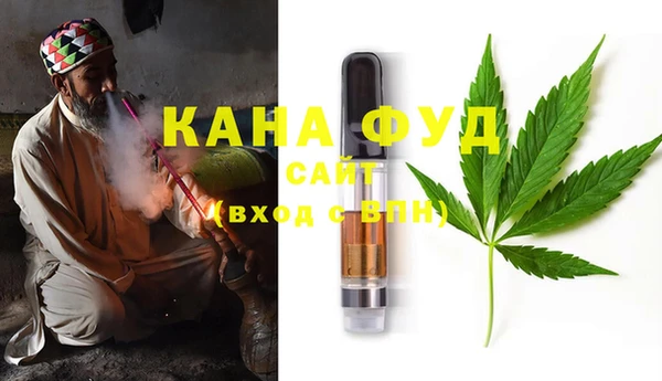 молекула духа Бородино