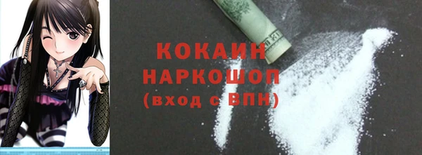 молекула духа Бородино