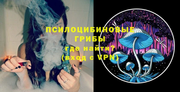 молекула духа Бородино
