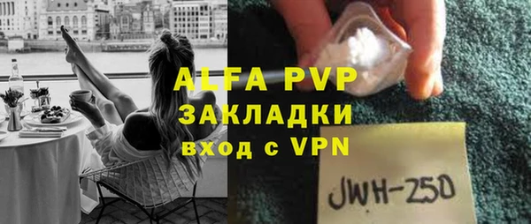 молекула духа Бородино