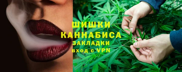молекула духа Бородино